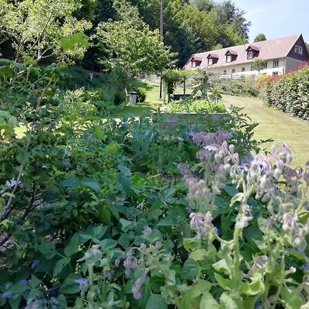 La Climontaine Bed and Breakfast Urbeis Eksteriør billede