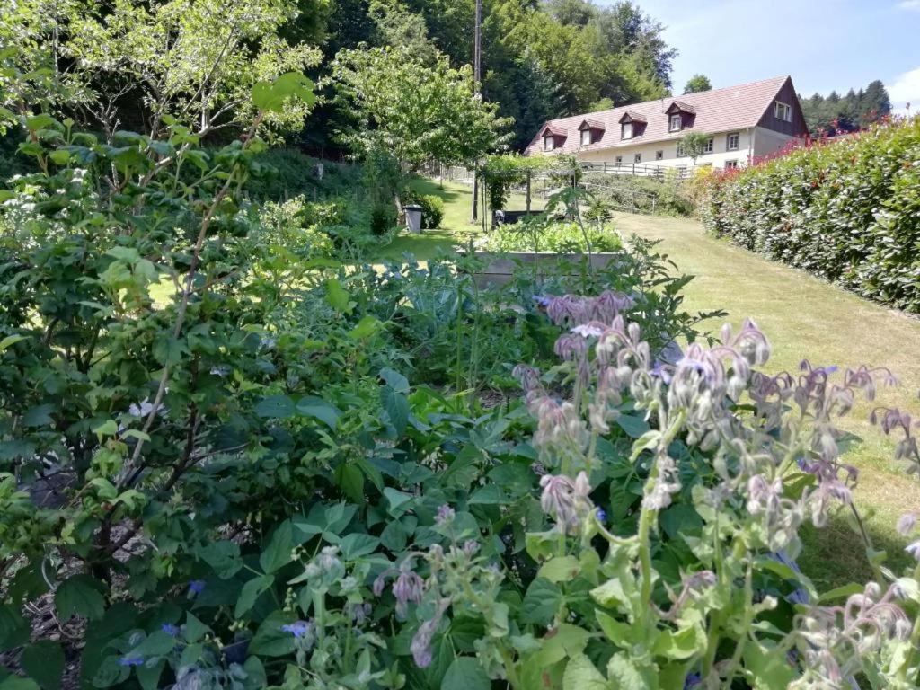 La Climontaine Bed and Breakfast Urbeis Eksteriør billede